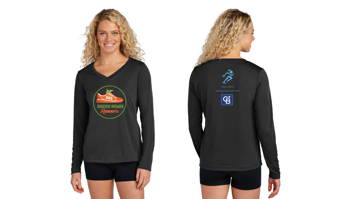Ladies Long Sleeve V Neck Tee