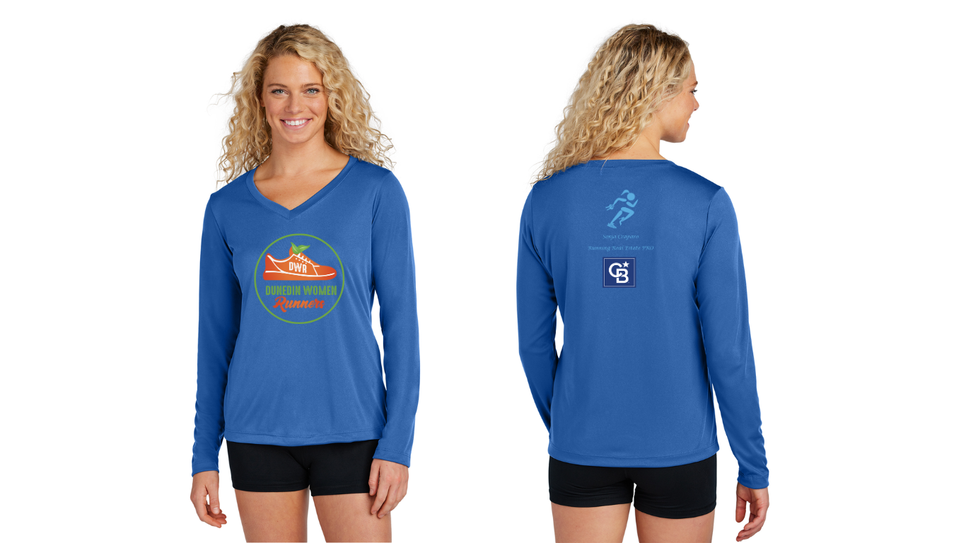 Ladies Long Sleeve V Neck Tee