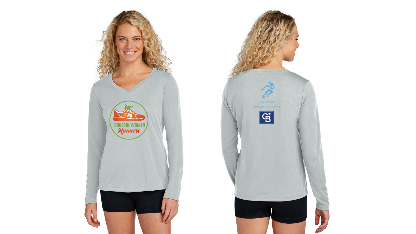 Ladies Long Sleeve V Neck Tee