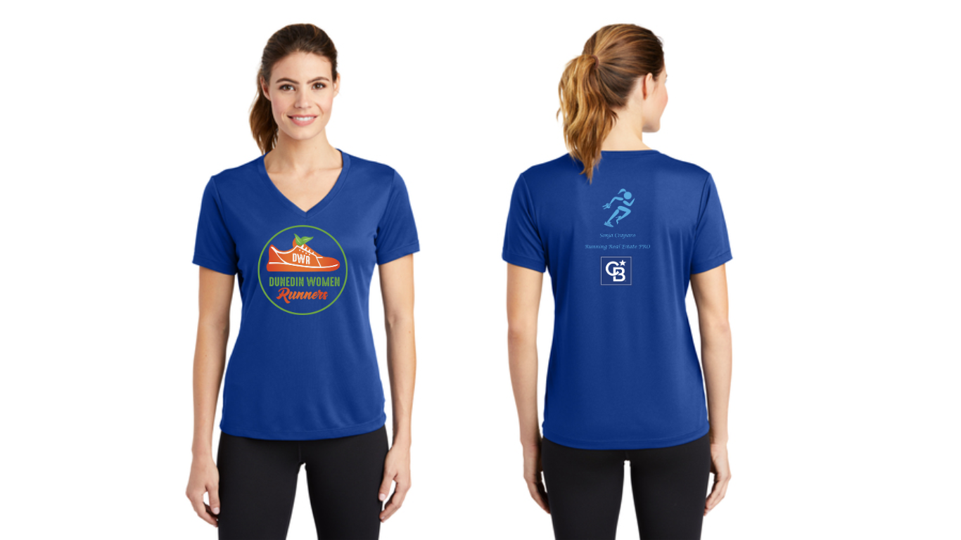 Ladies V Neck Tee