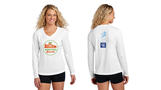 Ladies Long Sleeve V Neck Tee